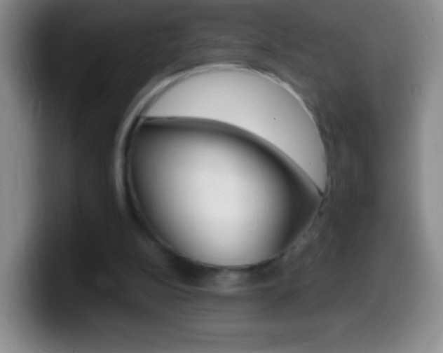 X0000099990152200805231051