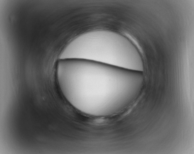 X0000099990153200805231051