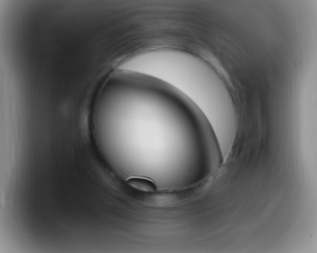 X0000099990154200805231051