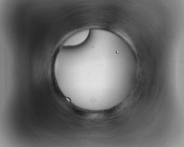 X0000099990155200805231051