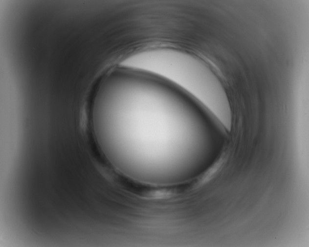 X0000099990158200805231051