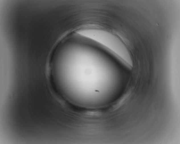 X0000099990160200805231051