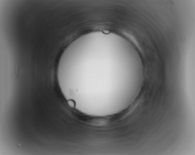 X0000099990161200805231051