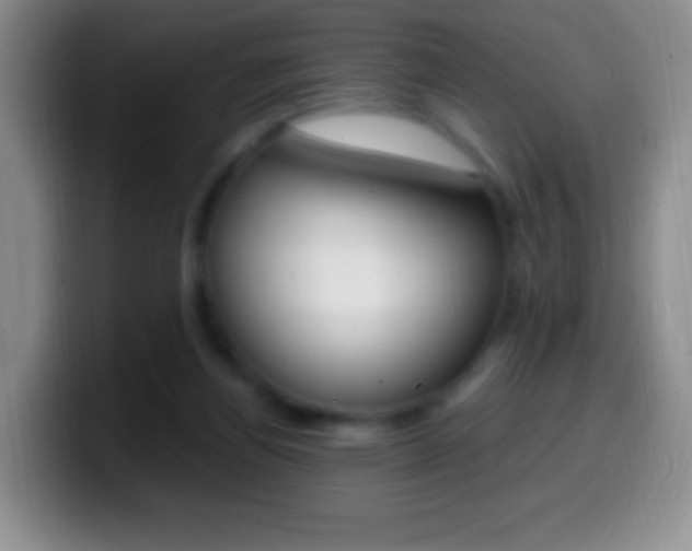 X0000099990164200805231051