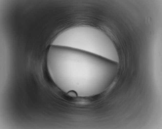 X0000099990167200805231051