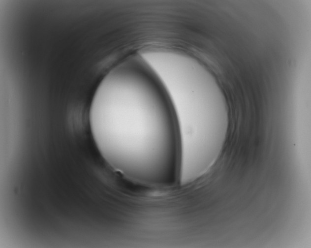X0000099990168200805231051