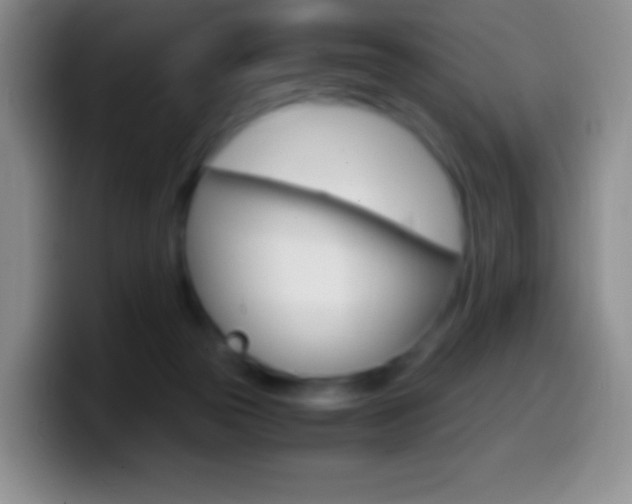 X0000099990169200805231051