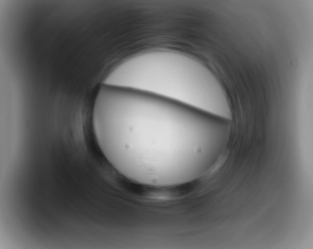 X0000099990171200805231051