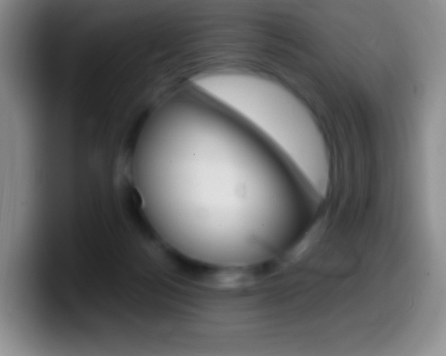 X0000099990172200805231051