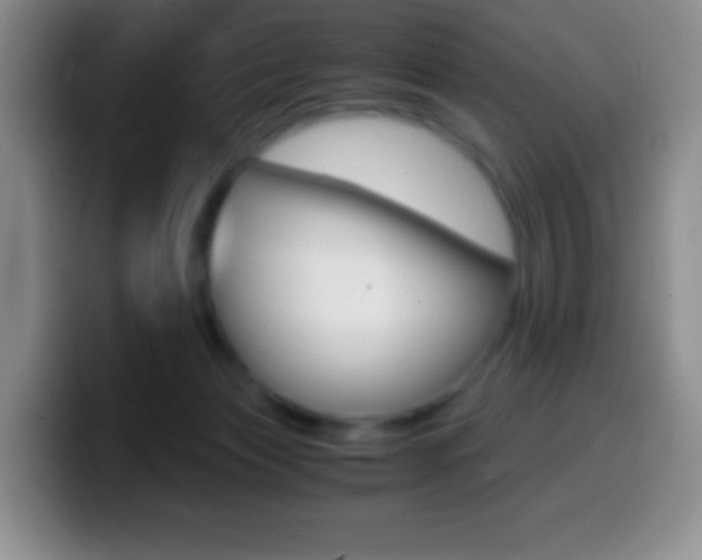 X0000099990173200805231051