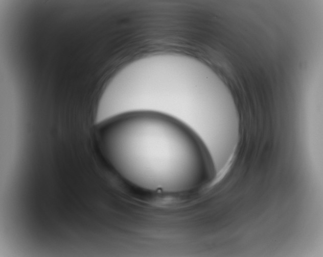 X0000099990174200805231051