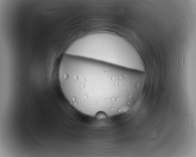 X0000099990175200805231051