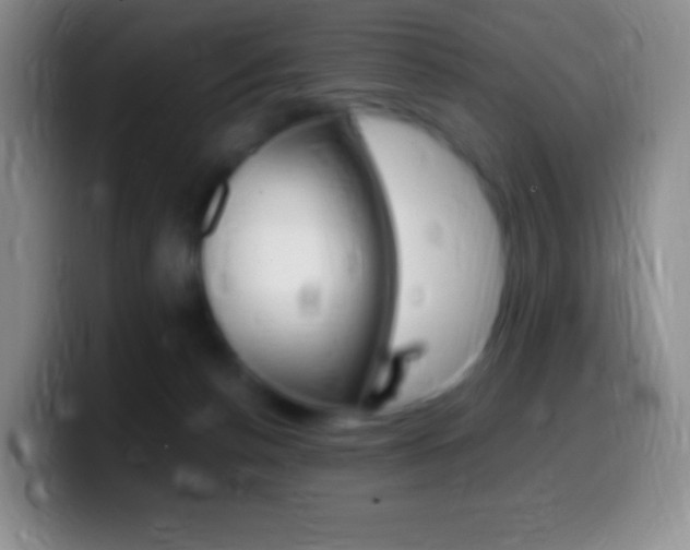 X0000099990176200805231051