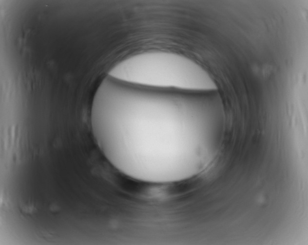 X0000099990178200805231051