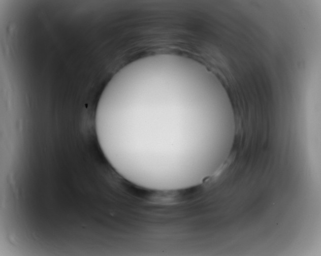 X0000099990179200805231051