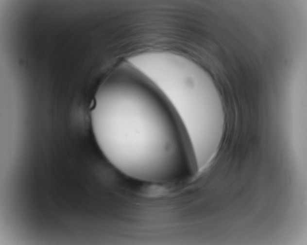 X0000099990180200805231051