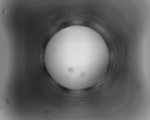 X0000099990181200805231051