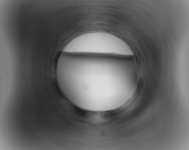X0000099990182200805231051