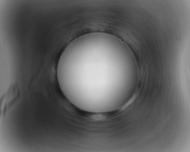 X0000099990183200805231051