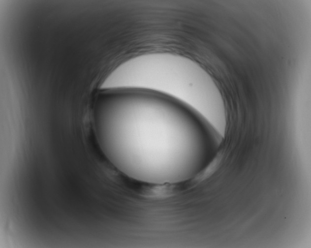 X0000099990184200805231051
