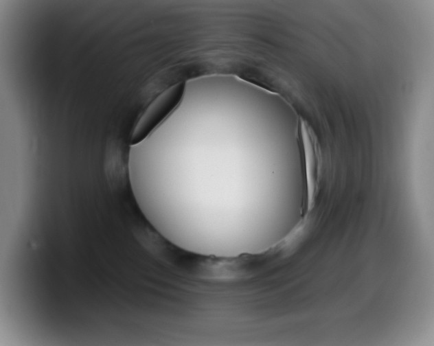 X0000099990186200805231051