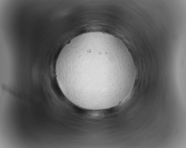 X0000099990187200805231051