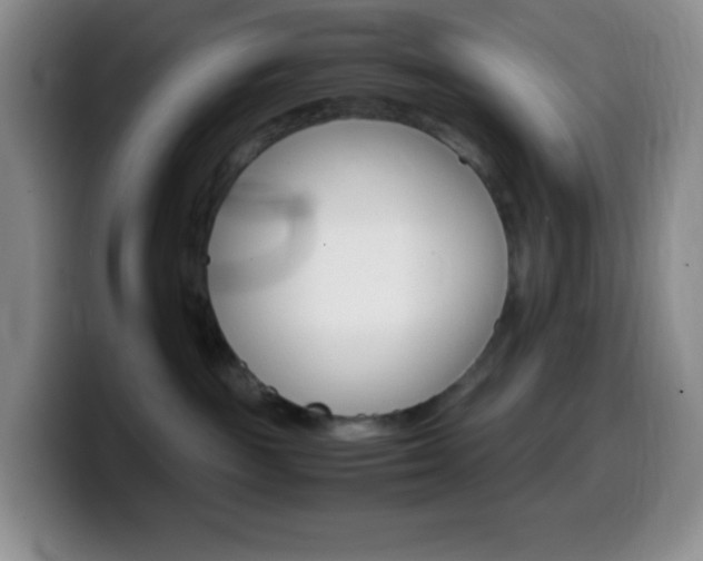 X0000099990189200805231051
