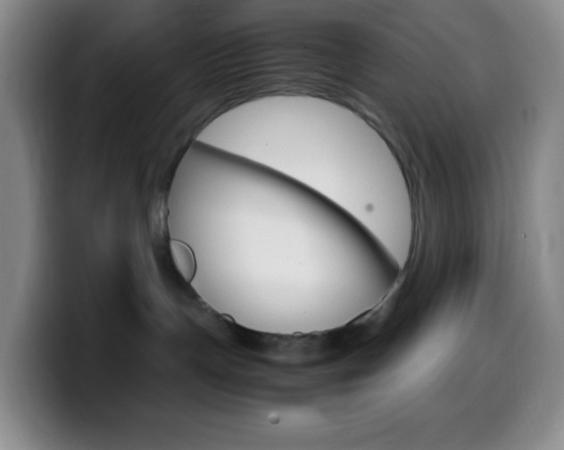 X0000099990191200805231051