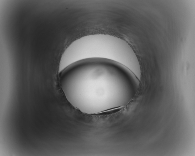 X0000099990192200805231051