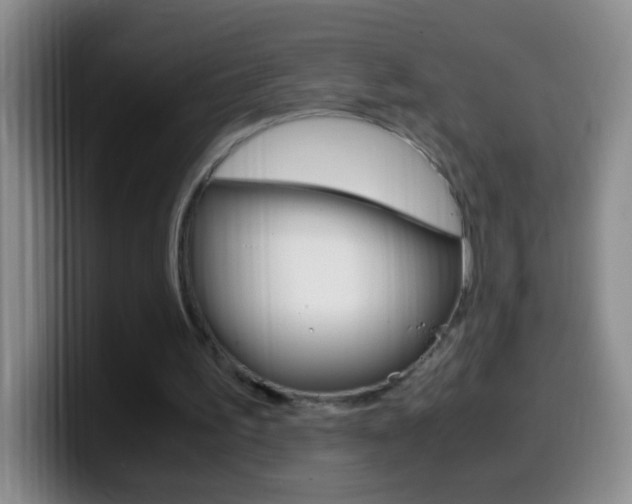 X0000099990195200805231051
