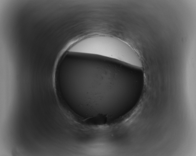 X0000099990196200805231051