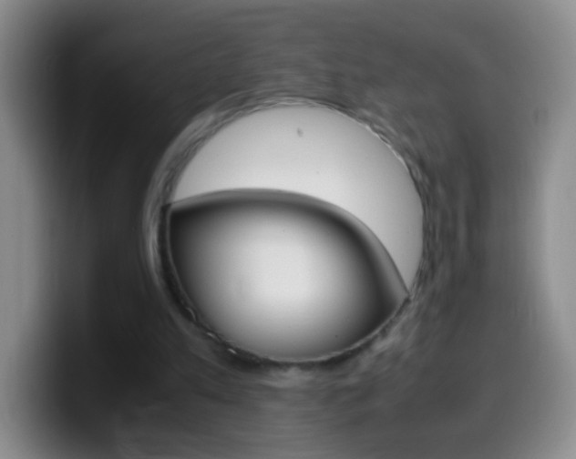 X0000099990197200805231051