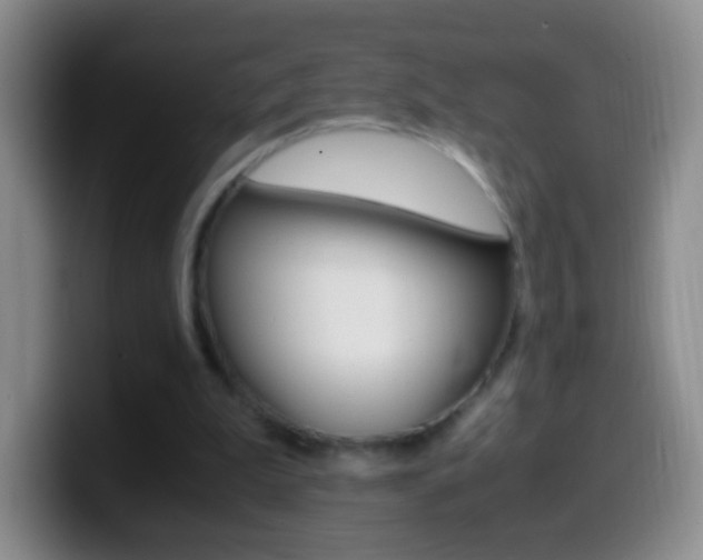 X0000099990199200805231051