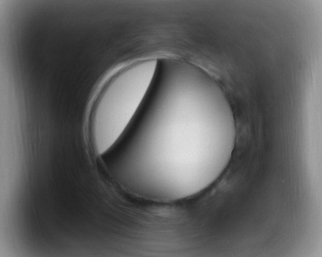 X0000099990200200805231051