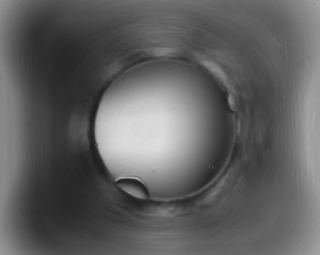 X0000099990201200805231051
