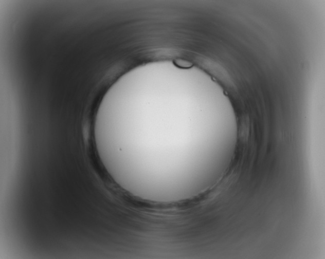 X0000099990206200805231051