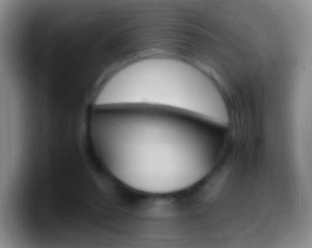 X0000099990208200805231051