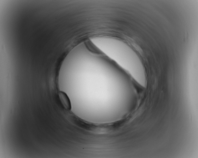 X0000099990209200805231051