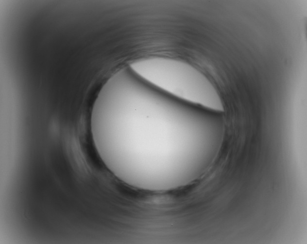 X0000099990210200805231051