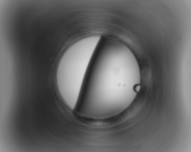 X0000099990212200805231051