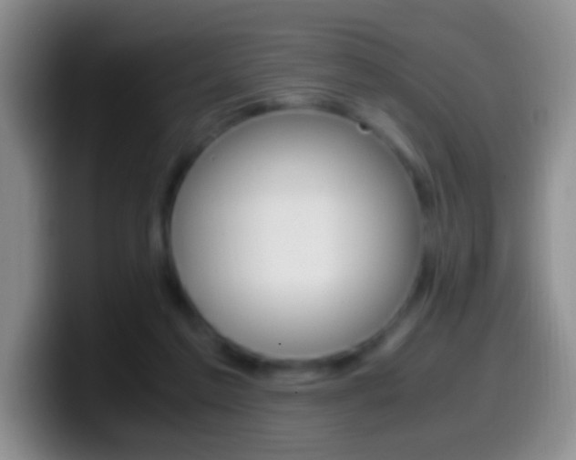X0000099990213200805231051