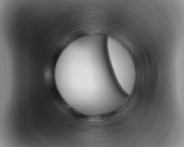 X0000099990214200805231051