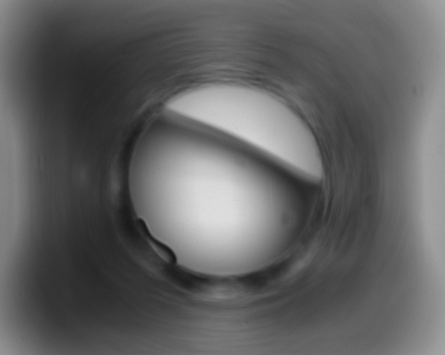X0000099990215200805231051