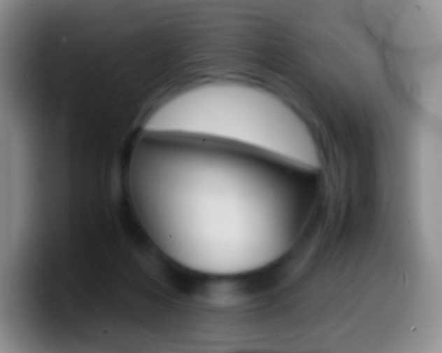 X0000099990216200805231051