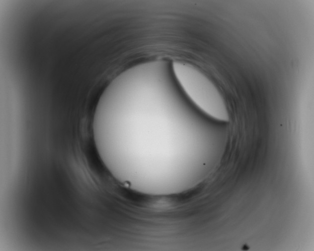 X0000099990218200805231051