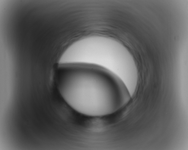 X0000099990219200805231050