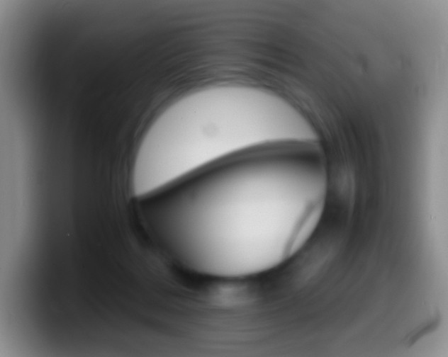 X0000099990220200805231050