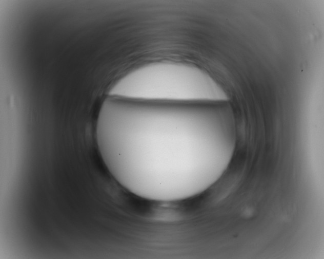 X0000099990222200805231050
