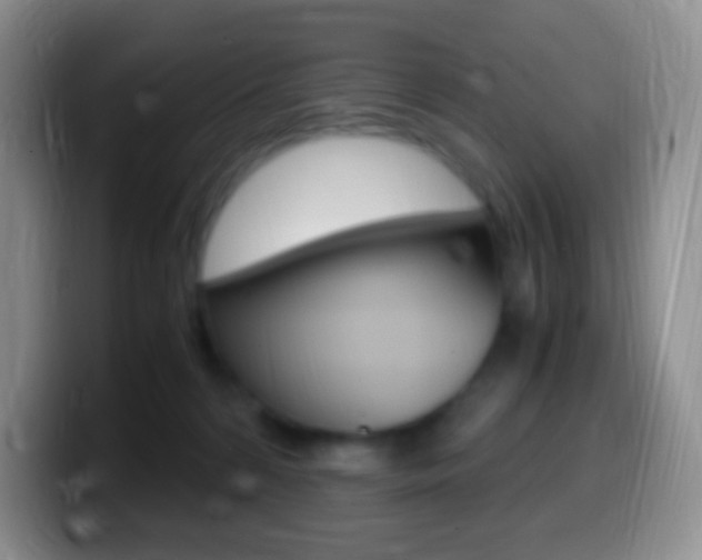 X0000099990224200805231050