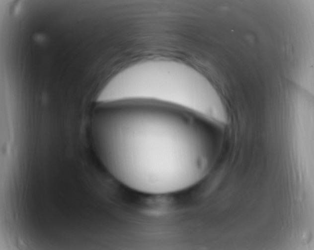 X0000099990225200805231050